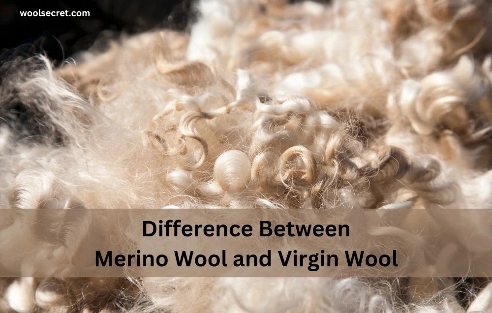 Difference Between Merino Wool and Virgin Wool 1