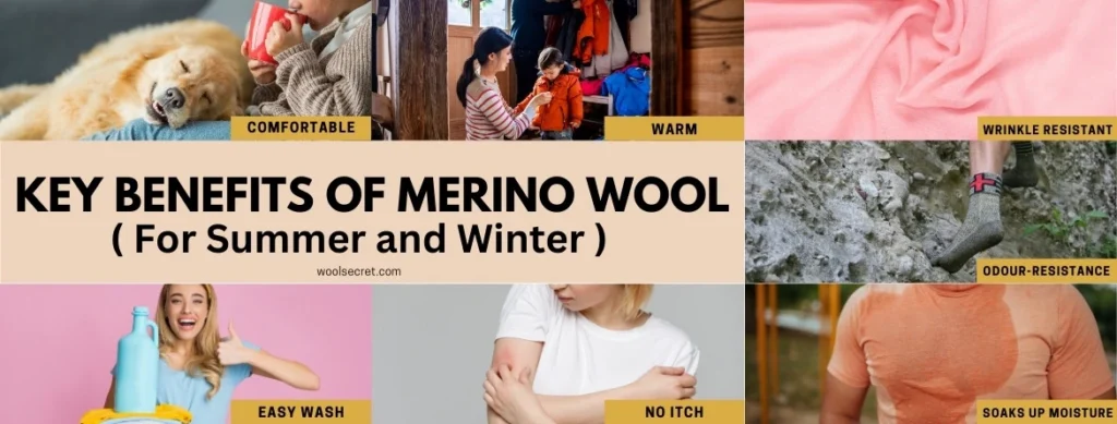 Benefits of Merino Wool for Summer and Winter